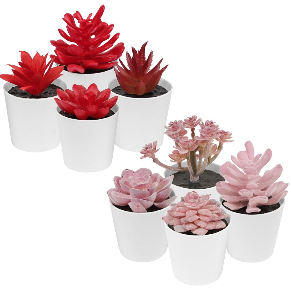 9570 Mini Plants, Succulents,Small Plant,red Decor,red Bathroom Decor,red